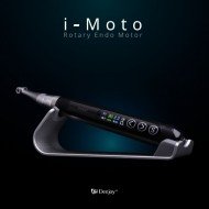 Denjoy Rotary i moto Endo Motor